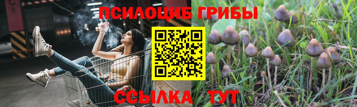 Псилоцибиновые грибы прущие грибы Саранск
