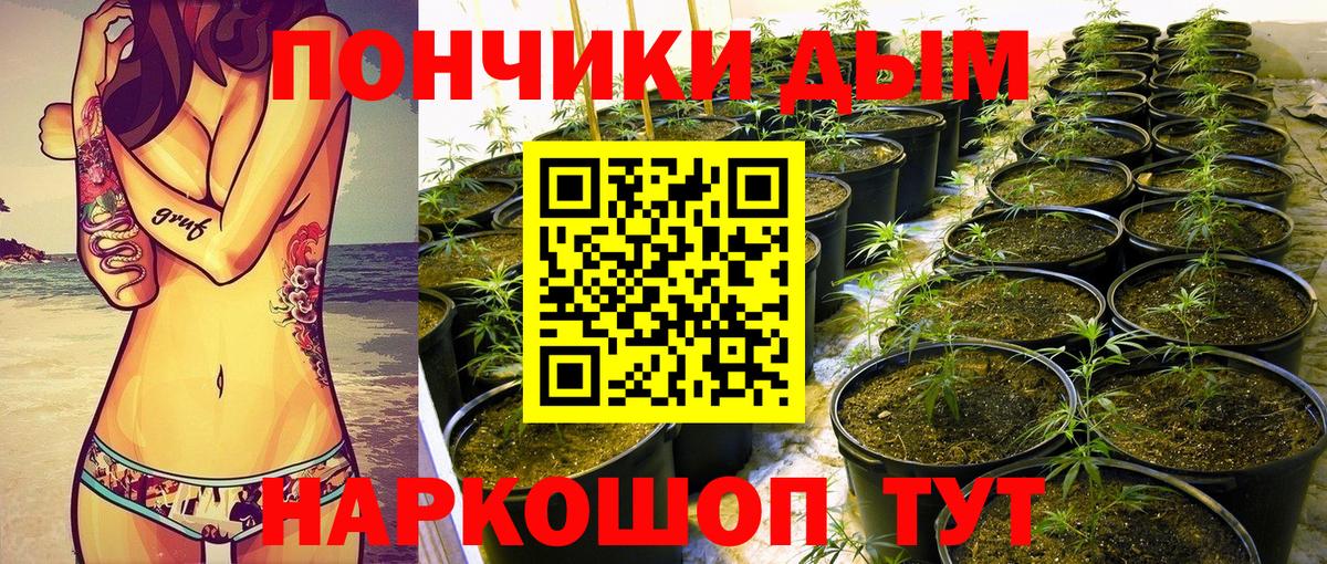 Саранск  Бошки Шишки White Widow  Конопля Ganja  Вход с VPN 